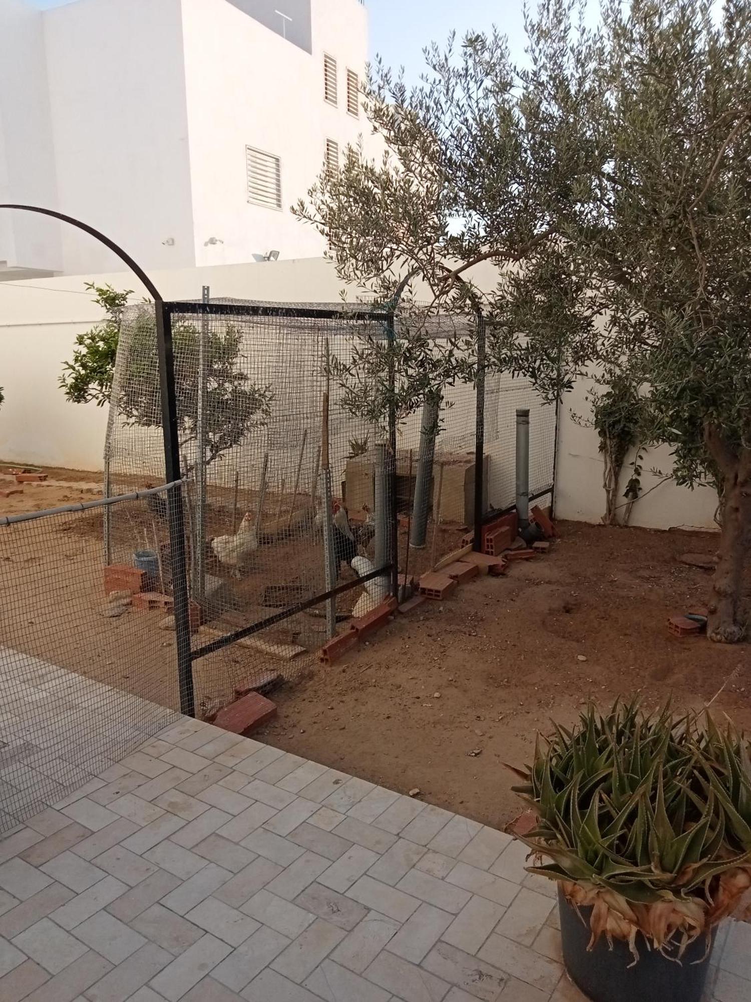 Chez Mme Jaouida Bed and Breakfast Kairouan Buitenkant foto